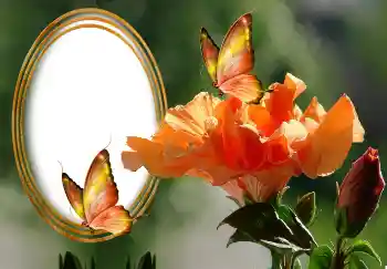Фотоэффект из категории Женские фоторамки № 131127