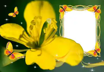 Фотоэффект из категории Женские фоторамки № 132883 Фотоэффект из категории Женские фоторамки № 132883