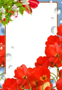 Фотоэффект из категории Женские фоторамки № 133081 Фотоэффект из категории Женские фоторамки № 133081