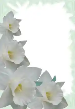 Фотоэффект из категории Женские фоторамки № 13900 Фотоэффект из категории Женские фоторамки № 13900