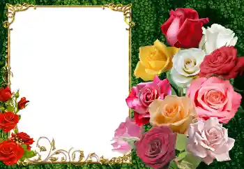 Фотоэффект из категории Женские фоторамки № 154447