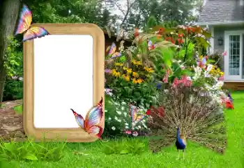 Фотоэффект из категории Женские фоторамки № 155936 Фотоэффект из категории Женские фоторамки № 155936