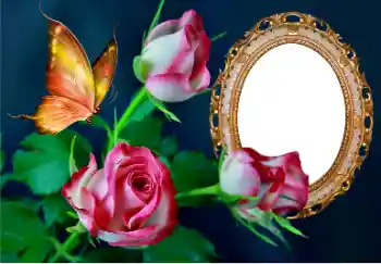 Фотоэффект из категории Женские фоторамки № 157089 Фотоэффект из категории Женские фоторамки № 157089