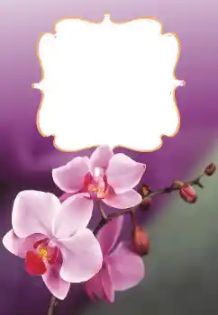 Фотоэффект из категории Женские фоторамки № 160699