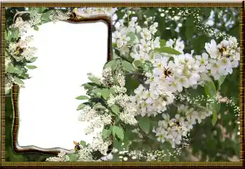 Фотоэффект из категории Женские фоторамки № 16069 Фотоэффект из категории Женские фоторамки № 16069