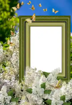 Фотоэффект из категории Женские фоторамки № 169023