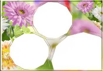 Фотоэффект из категории Женские фоторамки № 170418 Фотоэффект из категории Женские фоторамки № 170418