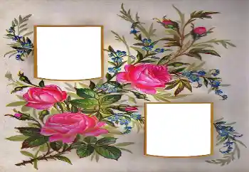 Фотоэффект из категории Женские фоторамки № 171684
