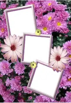 Фотоэффект из категории Женские фоторамки № 205803 Фотоэффект из категории Женские фоторамки № 205803