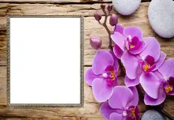 Фотоэффект из категории Женские фоторамки № 206185 Фотоэффект из категории Женские фоторамки № 206185