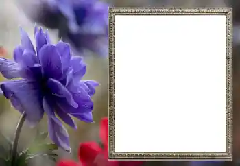 Фотоэффект из категории Женские фоторамки № 206189 Фотоэффект из категории Женские фоторамки № 206189