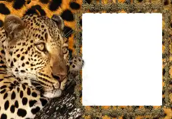 Фотоэффект из категории Женские фоторамки № 214 Фотоэффект из категории Женские фоторамки № 214