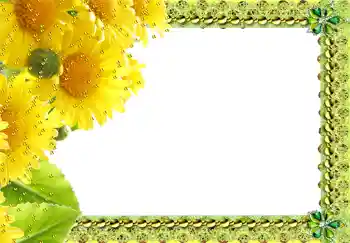 Фотоэффект из категории Женские фоторамки № 217 Фотоэффект из категории Женские фоторамки № 217