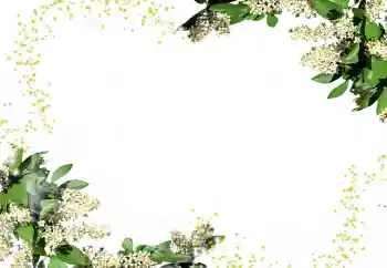 Фотоэффект из категории Женские фоторамки № 24247