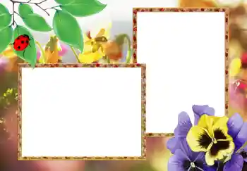 Фотоэффект из категории Женские фоторамки № 273 Фотоэффект из категории Женские фоторамки № 273