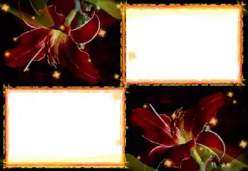 Фотоэффект из категории Женские фоторамки № 27702 Фотоэффект из категории Женские фоторамки № 27702