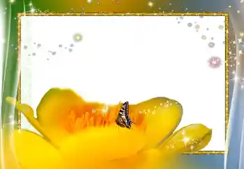 Фотоэффект из категории Женские фоторамки № 278 Фотоэффект из категории Женские фоторамки № 278