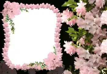 Фотоэффект из категории Женские фоторамки № 31824 Фотоэффект из категории Женские фоторамки № 31824
