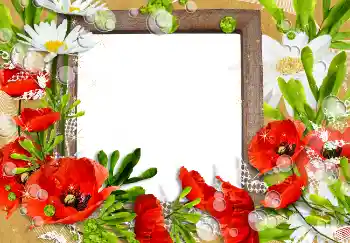 Фотоэффект из категории Женские фоторамки № 3491