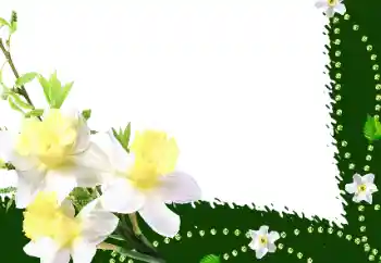 Фотоэффект из категории Женские фоторамки № 35016