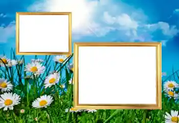 Фотоэффект из категории Женские фоторамки № 43572