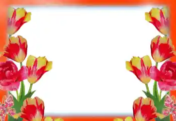 Фотоэффект из категории Женские фоторамки № 49414