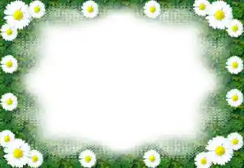 Фотоэффект из категории Женские фоторамки № 49443