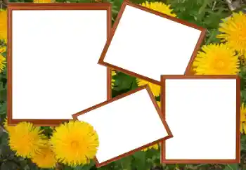 Фотоэффект из категории Женские фоторамки № 49448
