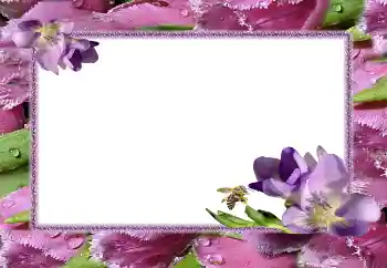 Фотоэффект из категории Женские фоторамки № 5506 Фотоэффект из категории Женские фоторамки № 5506