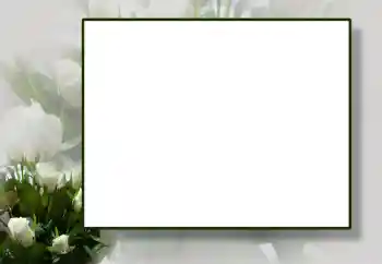 Фотоэффект из категории Женские фоторамки № 55444 Фотоэффект из категории Женские фоторамки № 55444
