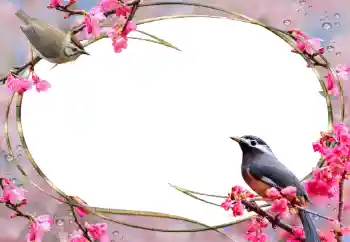 Фотоэффект из категории Женские фоторамки № 56627 Фотоэффект из категории Женские фоторамки № 56627