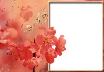 Фотоэффект из категории Женские фоторамки № 57711