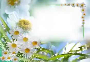 Фотоэффект из категории Женские фоторамки № 59087