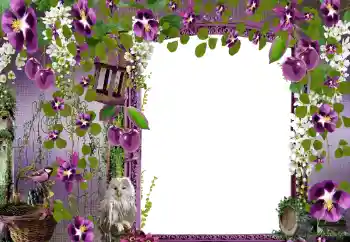 Фотоэффект из категории Женские фоторамки № 68582 Фотоэффект из категории Женские фоторамки № 68582
