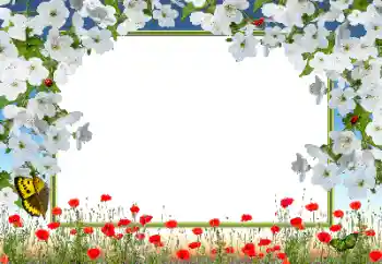 Фотоэффект из категории Женские фоторамки № 72133