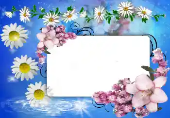 Фотоэффект из категории Женские фоторамки № 80388