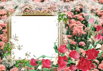 Фотоэффект из категории Женские фоторамки № 80390