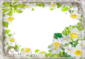 Фотоэффект из категории Женские фоторамки № 94724 Фотоэффект из категории Женские фоторамки № 94724