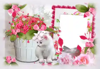 Фотоэффект из категории Женские фоторамки № 97470 Фотоэффект из категории Женские фоторамки № 97470